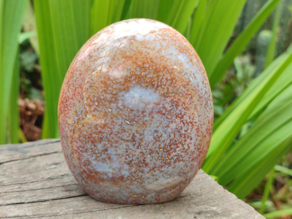 Polished and Natural Mix of Rare Ocean Jasper Pieces x 4 From Northwest Coast, Madagascar - Toprock Gemstones and Minerals 