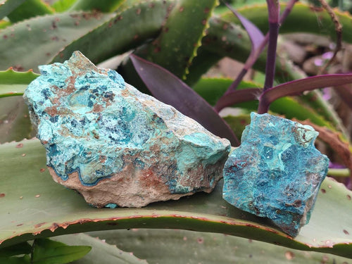 Natural Shattuckite Cobbed Specimens with Associated Minerals x 20 From Kaokoveld, Namibia - Toprock Gemstones and Minerals 
