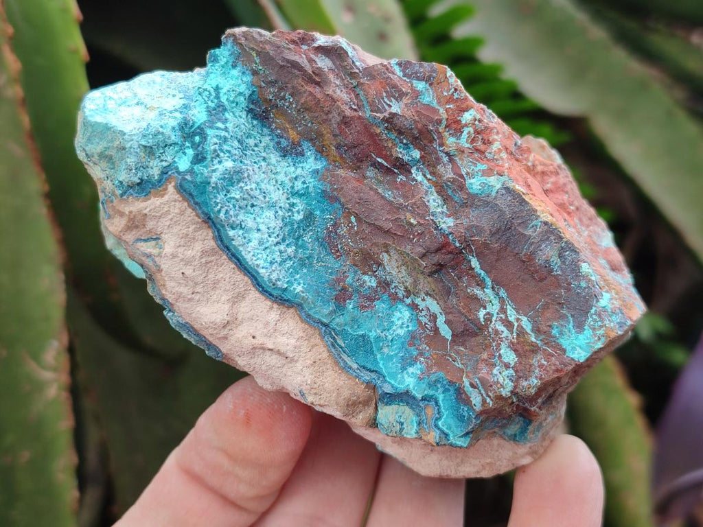 Natural Shattuckite Cobbed Specimens with Associated Minerals x 20 From Kaokoveld, Namibia - Toprock Gemstones and Minerals 