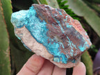 Natural Shattuckite Cobbed Specimens with Associated Minerals x 20 From Kaokoveld, Namibia - Toprock Gemstones and Minerals 