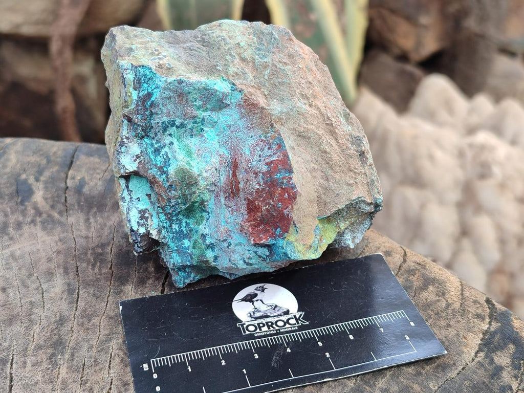 Natural Shattuckite Cobbed Specimens with Associated Minerals x 20 From Kaokoveld, Namibia - Toprock Gemstones and Minerals 