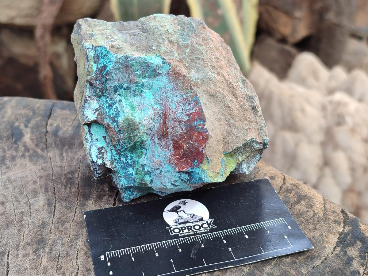 Natural Shattuckite Cobbed Specimens with Associated Minerals x 20 From Kaokoveld, Namibia - Toprock Gemstones and Minerals 