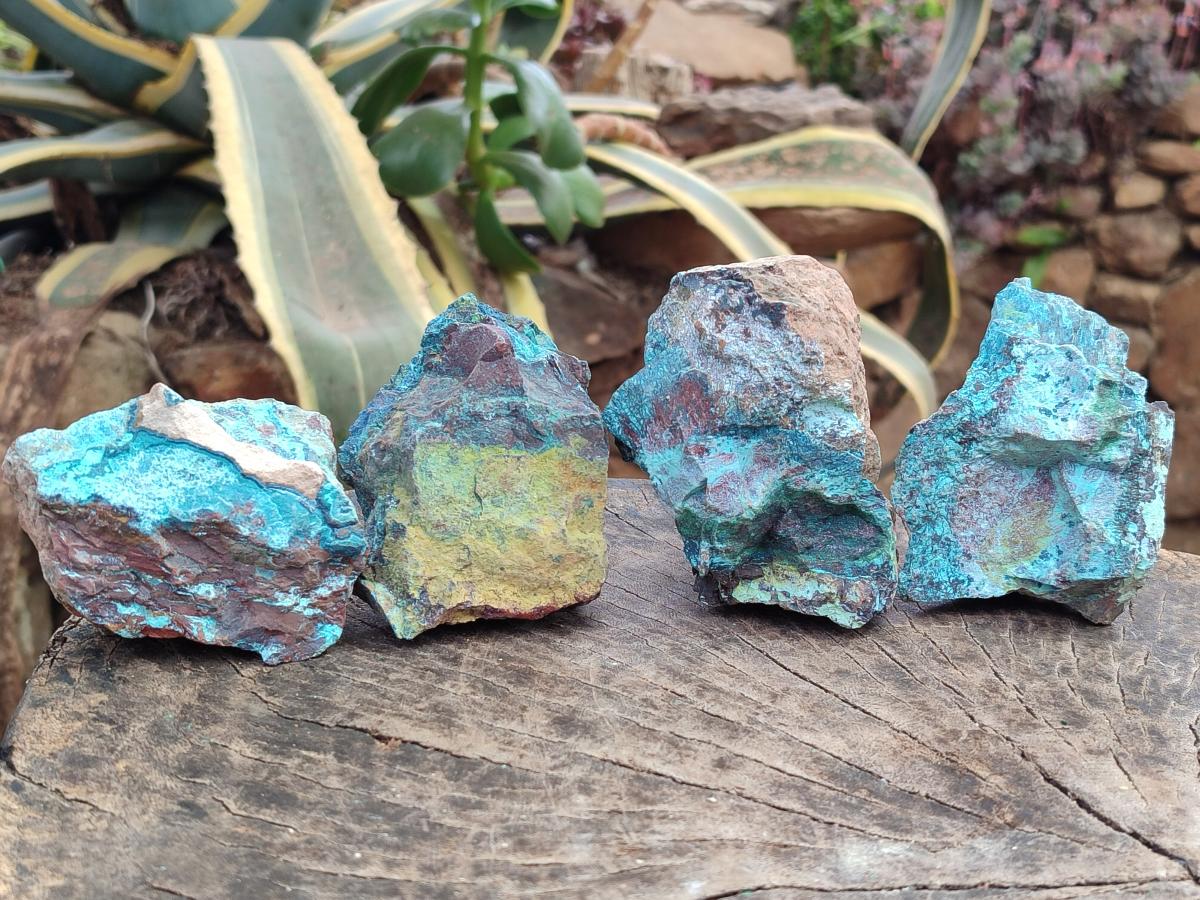 Natural Shattuckite Cobbed Specimens with Associated Minerals x 20 From Kaokoveld, Namibia - Toprock Gemstones and Minerals 