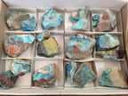 Natural Shattuckite Cobbed Specimens with Associated Minerals x 20 From Kaokoveld, Namibia - Toprock Gemstones and Minerals 