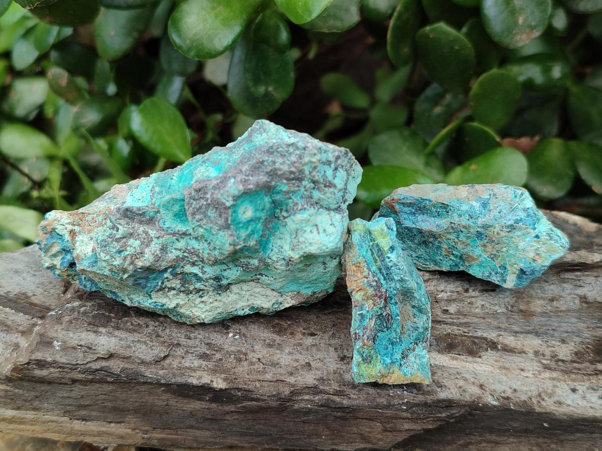 Natural Shattuckite Cobbed Specimens with Associated Minerals x 20 From Kaokoveld, Namibia - Toprock Gemstones and Minerals 
