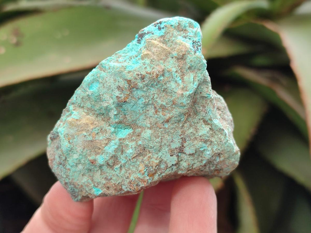 Natural Shattuckite Cobbed Specimens with Associated Minerals x 20 From Kaokoveld, Namibia - Toprock Gemstones and Minerals 