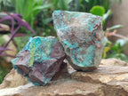 Natural Shattuckite Cobbed Specimens with Associated Minerals x 20 From Kaokoveld, Namibia - Toprock Gemstones and Minerals 