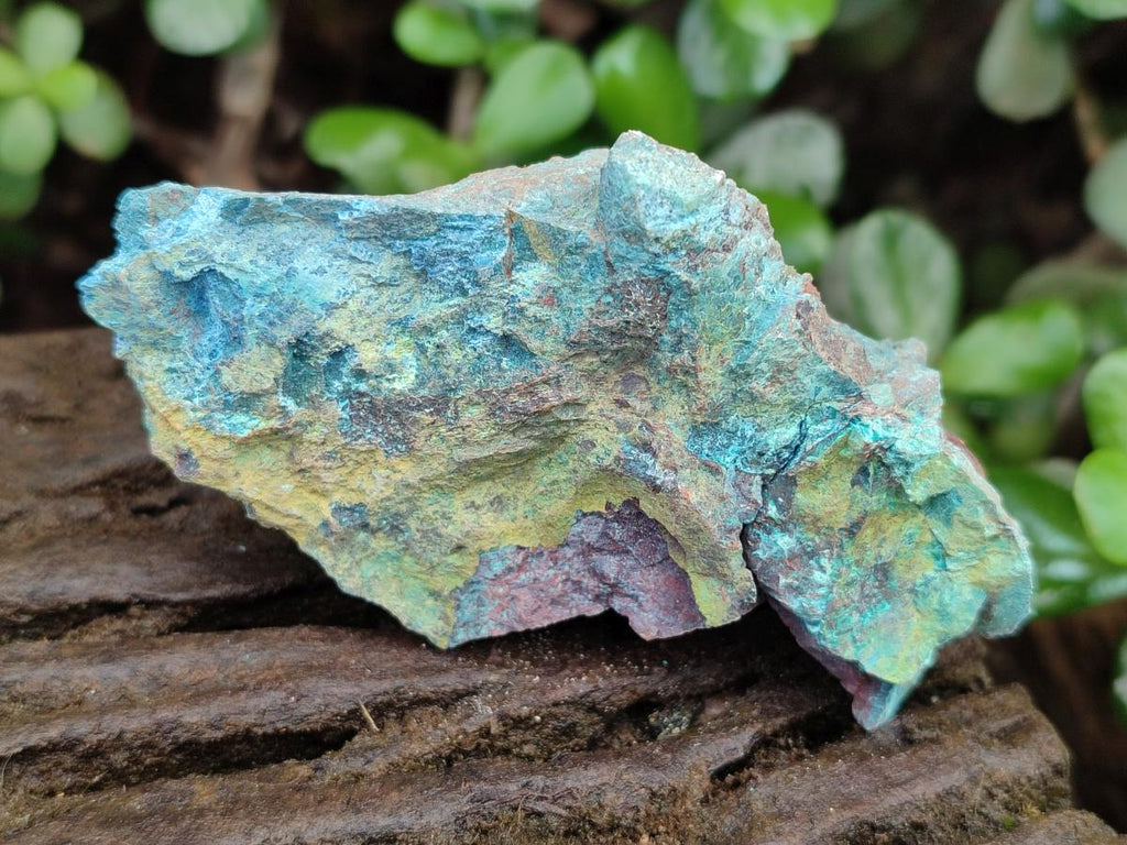 Natural Shattuckite Cobbed Specimens with Associated Minerals x 20 From Kaokoveld, Namibia - Toprock Gemstones and Minerals 