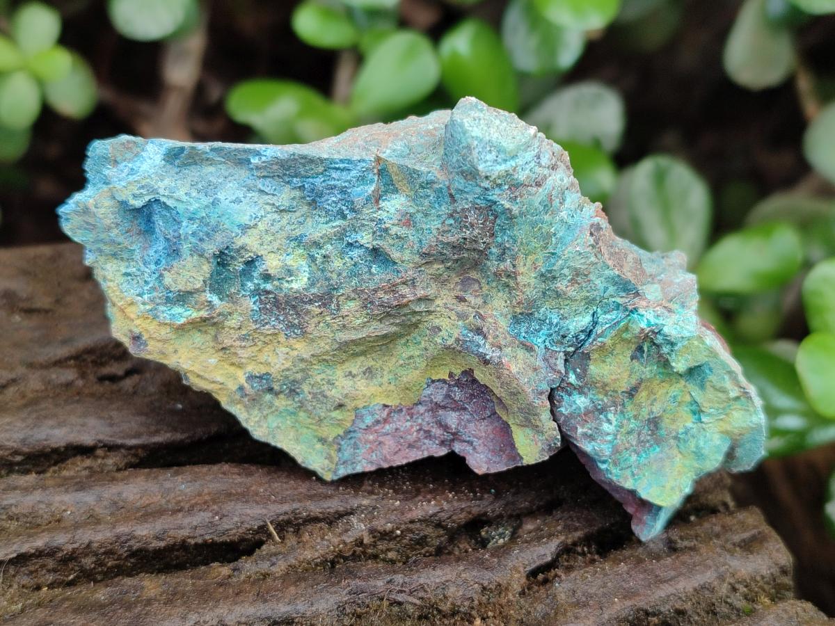 Natural Shattuckite Cobbed Specimens with Associated Minerals x 20 From Kaokoveld, Namibia - Toprock Gemstones and Minerals 