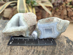 Polished One Side Blue Lace Agate Geodes x 12 From Nsanje, Malawi - Toprock Gemstones and Minerals 