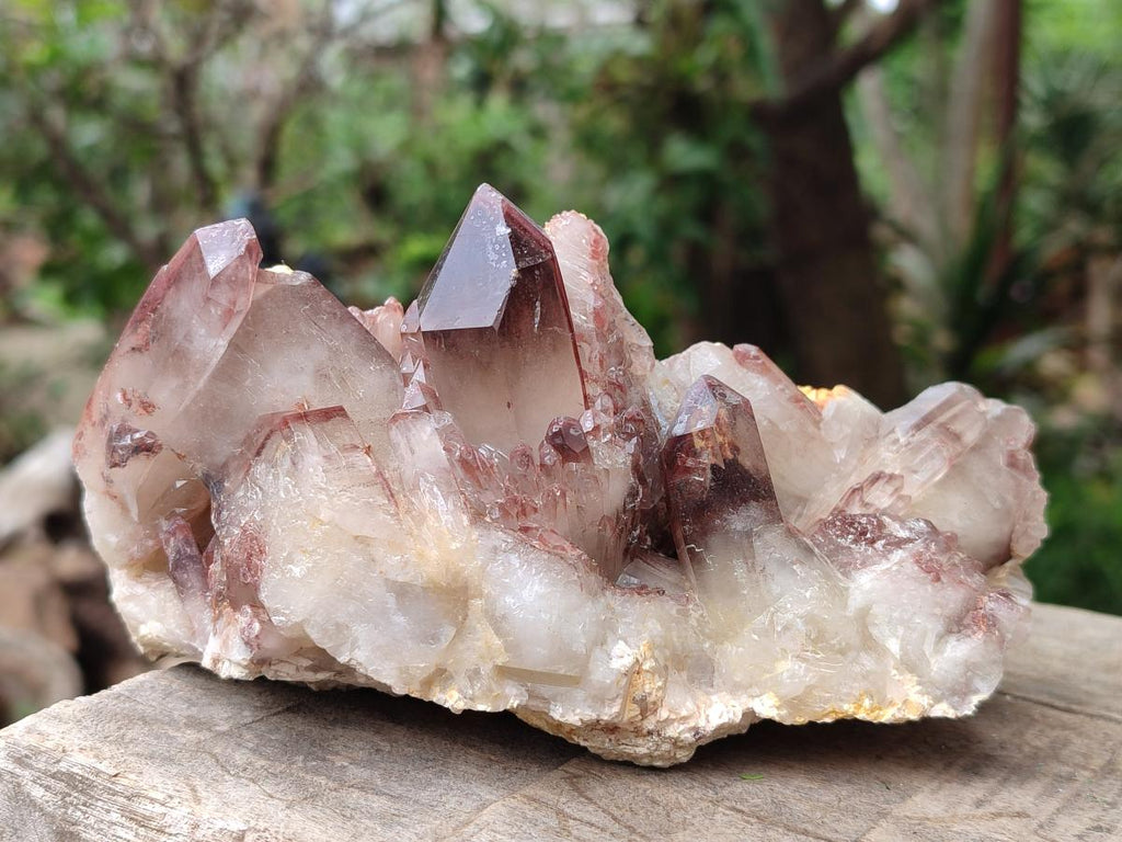 Natural Red Hematoid Quartz Crystals and Clusters x 6 From Karoi, Zimbabwe - Toprock Gemstones and Minerals 