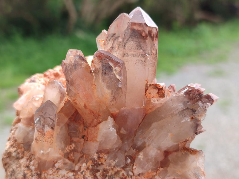 Natural Red Hematoid Quartz Crystals and Clusters x 6 From Karoi, Zimbabwe - Toprock Gemstones and Minerals 