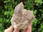 Natural Red Hematoid Quartz Crystals and Clusters x 6 From Karoi, Zimbabwe - Toprock Gemstones and Minerals 