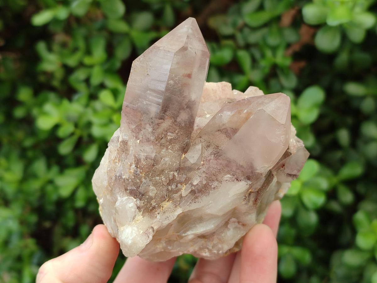 Natural Red Hematoid Quartz Crystals and Clusters x 6 From Karoi, Zimbabwe - Toprock Gemstones and Minerals 