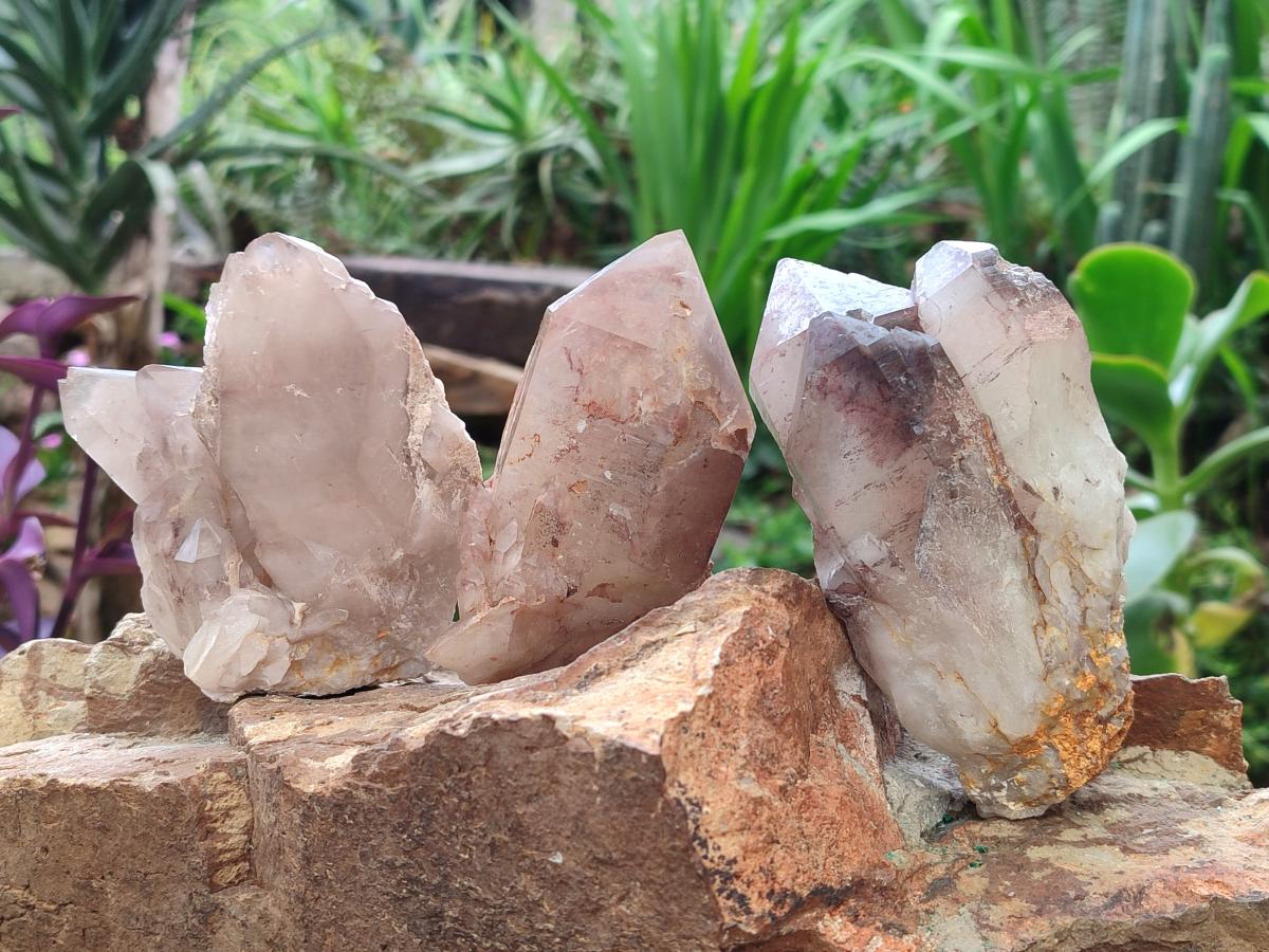 Natural Red Hematoid Quartz Crystals and Clusters x 6 From Karoi, Zimbabwe - Toprock Gemstones and Minerals 