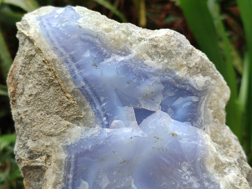 Natural XL Blue Lace Agate Specimen x 1 From Nsanje, Malawi - Toprock Gemstones and Minerals 