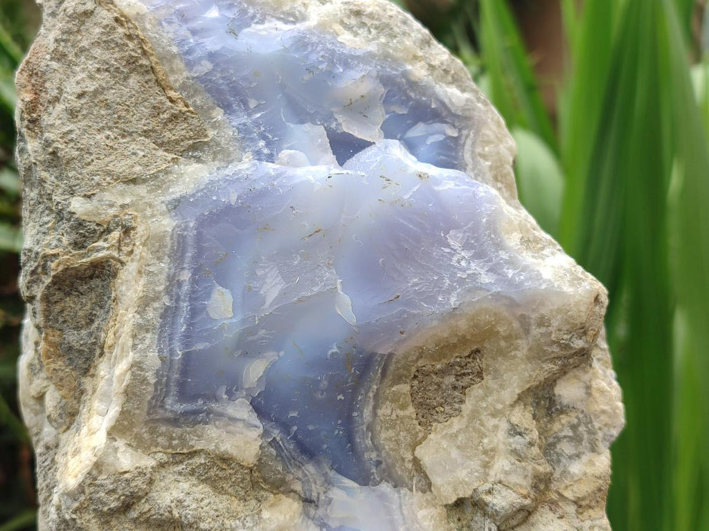 Natural XL Blue Lace Agate Specimen x 1 From Nsanje, Malawi - Toprock Gemstones and Minerals 