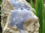 Natural XL Blue Lace Agate Specimen x 1 From Nsanje, Malawi - Toprock Gemstones and Minerals 