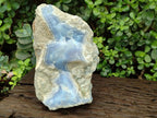 Natural XL Blue Lace Agate Specimen x 1 From Nsanje, Malawi - Toprock Gemstones and Minerals 