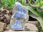 Natural XL Blue Lace Agate Specimen x 1 From Nsanje, Malawi - Toprock Gemstones and Minerals 