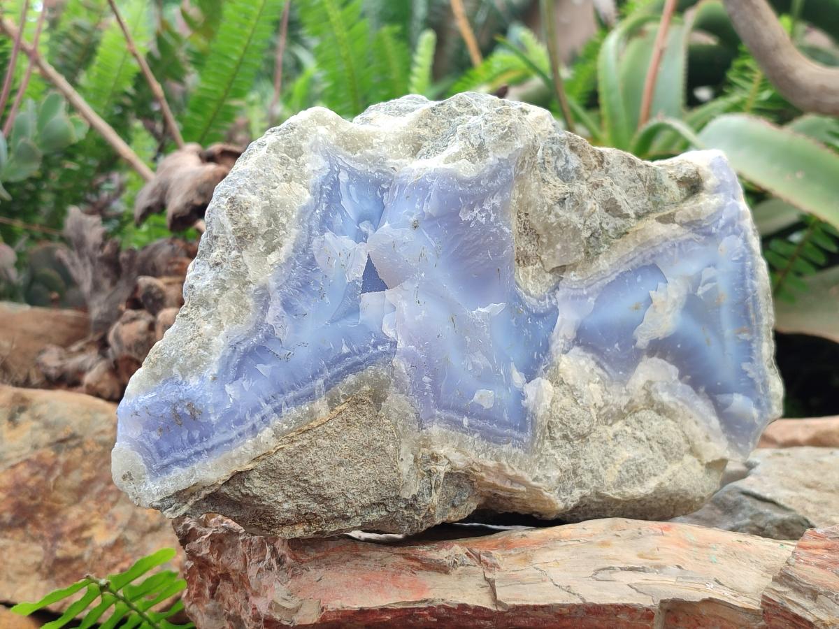 Natural XL Blue Lace Agate Specimen x 1 From Nsanje, Malawi - Toprock Gemstones and Minerals 
