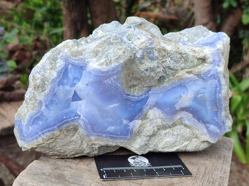 Natural XL Blue Lace Agate Specimen x 1 From Nsanje, Malawi - Toprock Gemstones and Minerals 