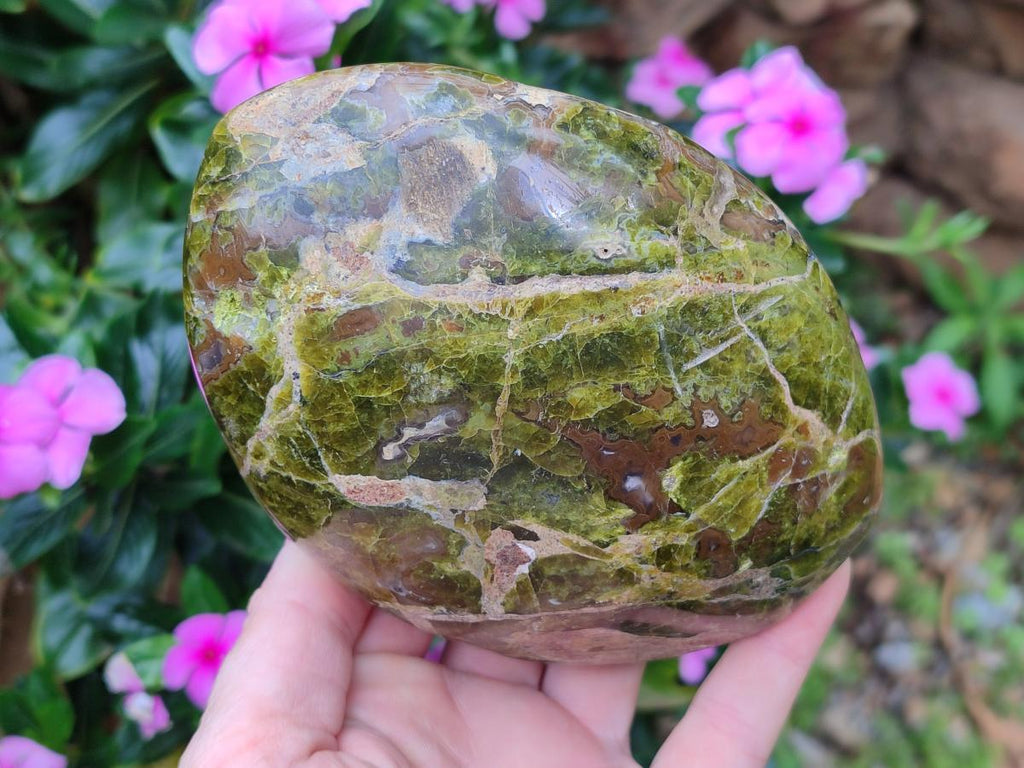 Polished Green Opal Standing Display Pieces x 3 From Betroka, Madagascar - Toprock Gemstones and Minerals 