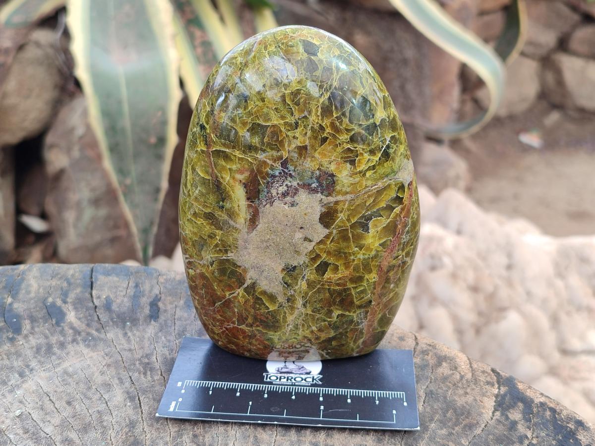 Polished Green Opal Standing Display Pieces x 3 From Betroka, Madagascar - Toprock Gemstones and Minerals 