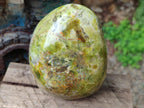 Polished Green Opal Standing Display Pieces x 3 From Betroka, Madagascar - Toprock Gemstones and Minerals 