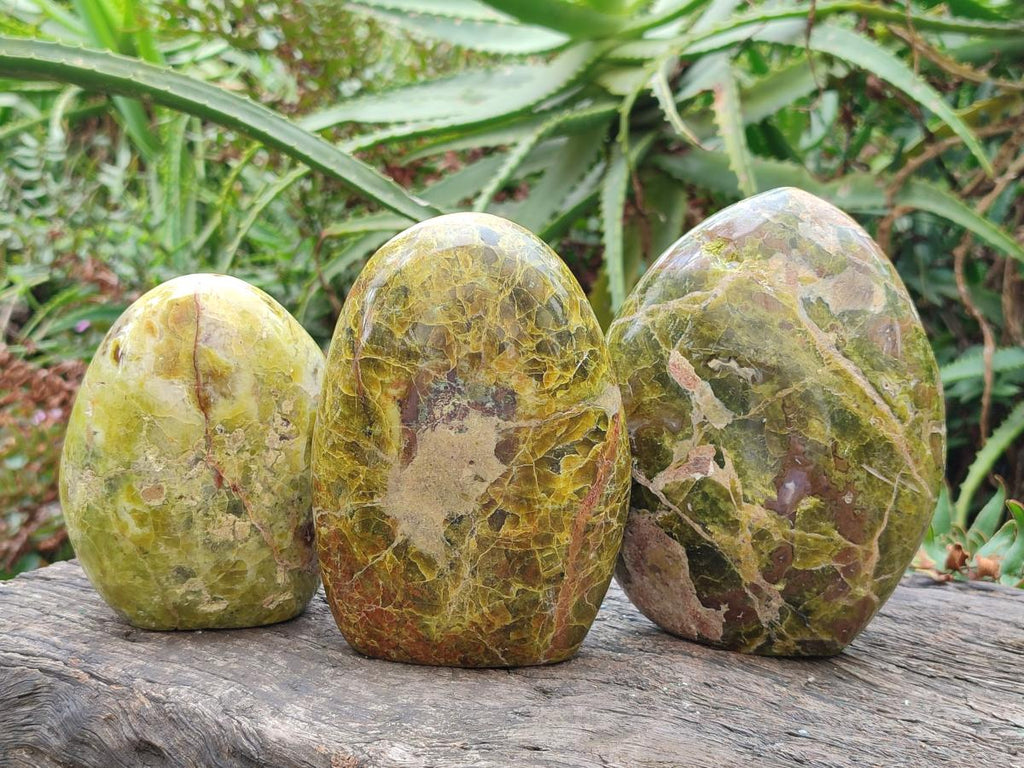 Polished Green Opal Standing Display Pieces x 3 From Betroka, Madagascar - Toprock Gemstones and Minerals 