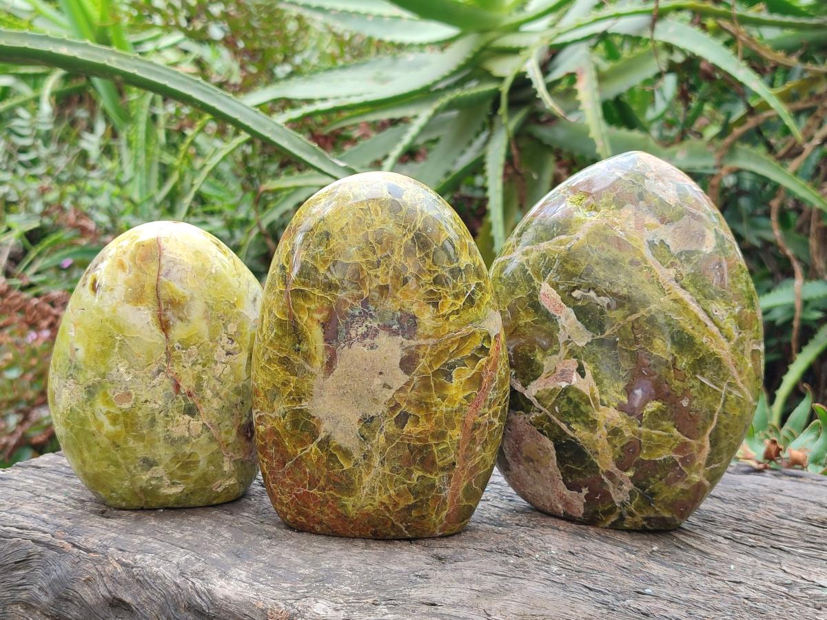 Polished Green Opal Standing Display Pieces x 3 From Betroka, Madagascar - Toprock Gemstones and Minerals 