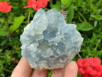 Natural Blue Celestite Specimens x 6 From Sakoany, Madagascar - Toprock Gemstones and Minerals 