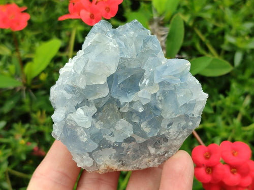Natural Blue Celestite Specimens x 6 From Sakoany, Madagascar - Toprock Gemstones and Minerals 