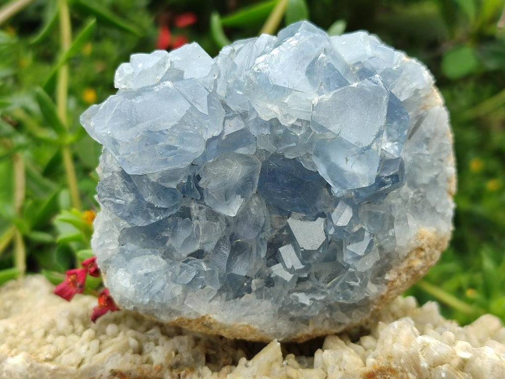 Natural Blue Celestite Specimens x 6 From Sakoany, Madagascar - Toprock Gemstones and Minerals 