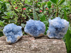 Natural Blue Celestite Specimens x 6 From Sakoany, Madagascar - Toprock Gemstones and Minerals 
