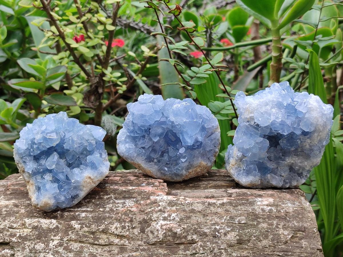 Natural Blue Celestite Specimens x 6 From Sakoany, Madagascar - Toprock Gemstones and Minerals 