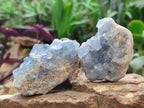 Natural Blue Celestite Specimens x 6 From Sakoany, Madagascar - Toprock Gemstones and Minerals 