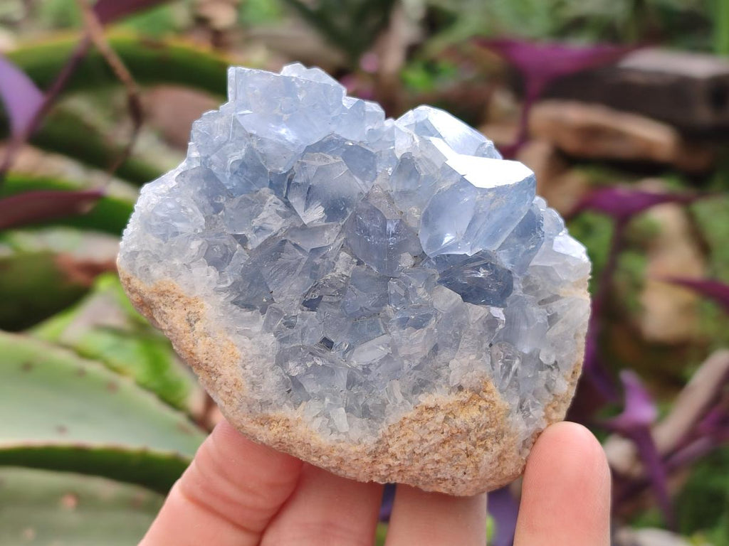 Natural Blue Celestite Specimens x 6 From Sakoany, Madagascar - Toprock Gemstones and Minerals 