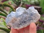 Natural Blue Celestite Specimens x 6 From Sakoany, Madagascar - Toprock Gemstones and Minerals 