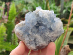 Natural Blue Celestite Specimens x 6 From Sakoany, Madagascar - Toprock Gemstones and Minerals 