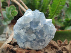 Natural Blue Celestite Specimens x 6 From Sakoany, Madagascar - Toprock Gemstones and Minerals 