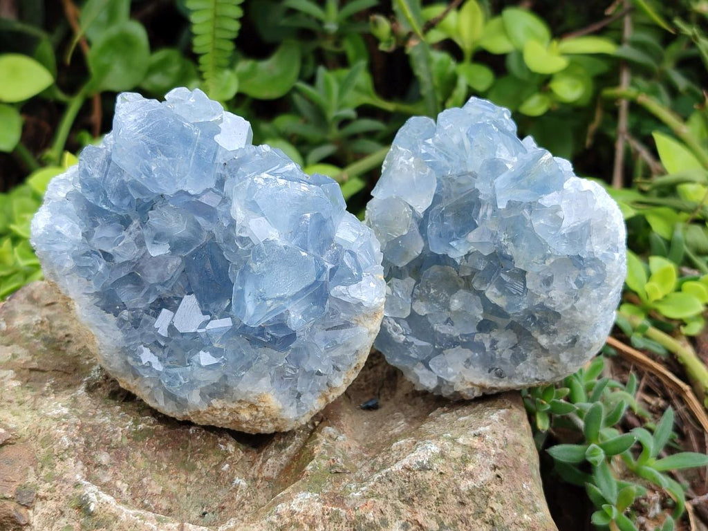 Natural Blue Celestite Specimens x 6 From Sakoany, Madagascar - Toprock Gemstones and Minerals 