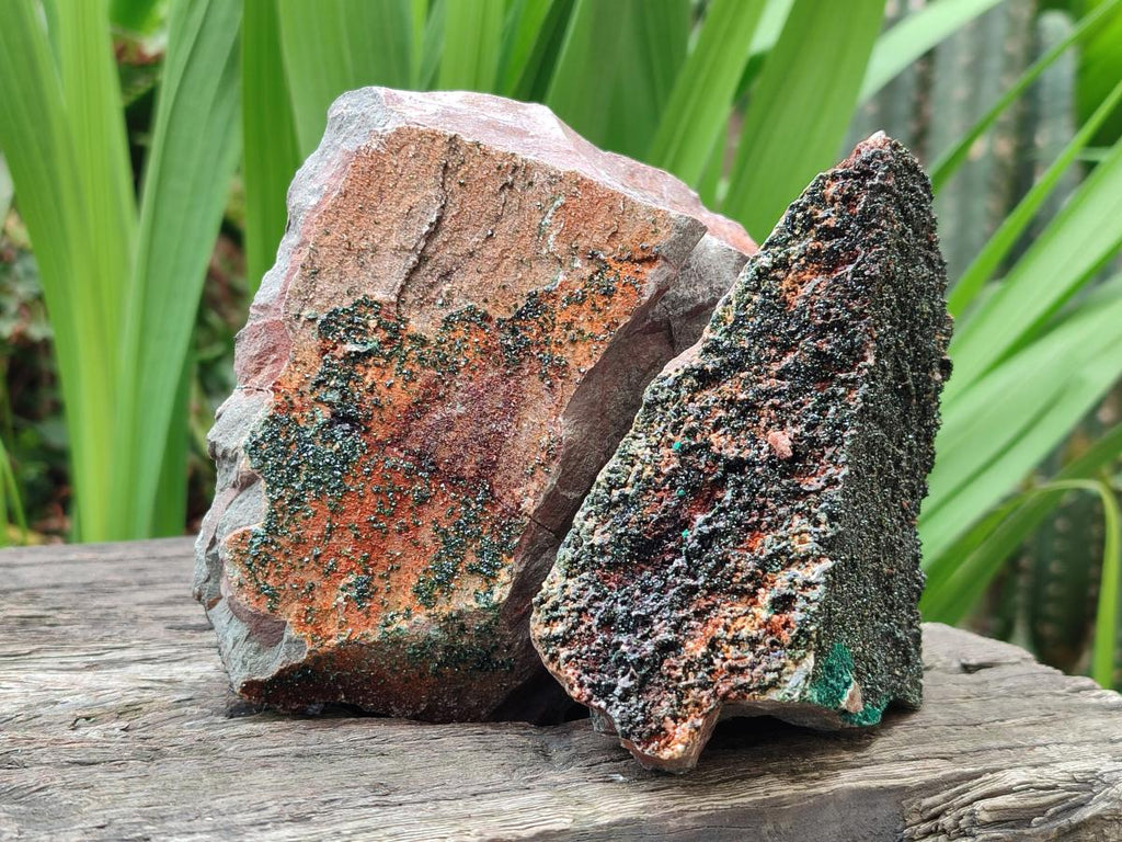Natural Crystalline Libethenite Specimens on Dolomite Matrix x 2 From Shituru, Congo - Toprock Gemstones and Minerals 