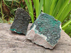 Natural Crystalline Libethenite Specimens on Dolomite Matrix x 2 From Shituru, Congo - Toprock Gemstones and Minerals 