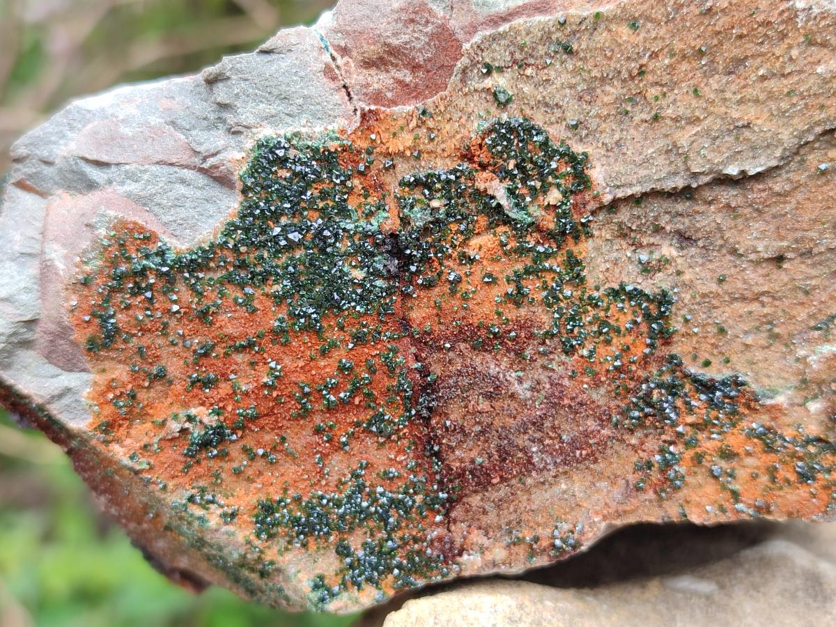 Natural Crystalline Libethenite Specimens on Dolomite Matrix x 2 From Shituru, Congo - Toprock Gemstones and Minerals 