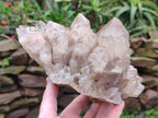 Natural Large Cascading White Phantom Clear Smokey Luena Quartz Cluster x 1 From Luena, Congo - Toprock Gemstones and Minerals 