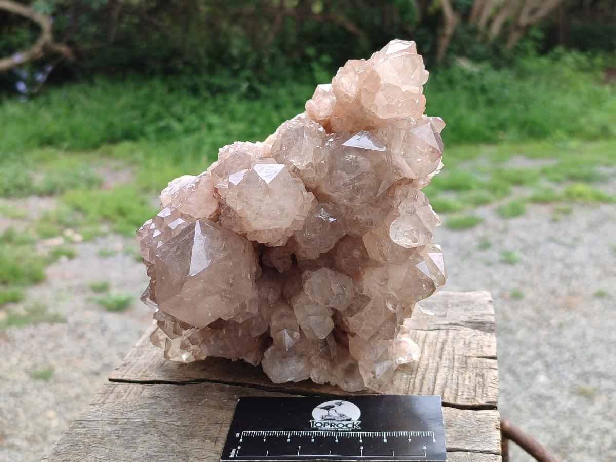 Natural Large Cascading White Phantom Clear Smokey Luena Quartz Cluster x 1 From Luena, Congo - Toprock Gemstones and Minerals 