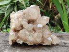 Natural Large Cascading White Phantom Clear Smokey Luena Quartz Cluster x 1 From Luena, Congo - Toprock Gemstones and Minerals 