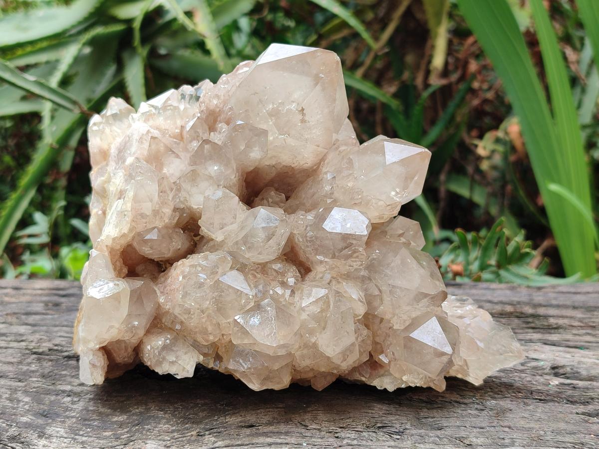 Natural Large Cascading White Phantom Clear Smokey Luena Quartz Cluster x 1 From Luena, Congo - Toprock Gemstones and Minerals 