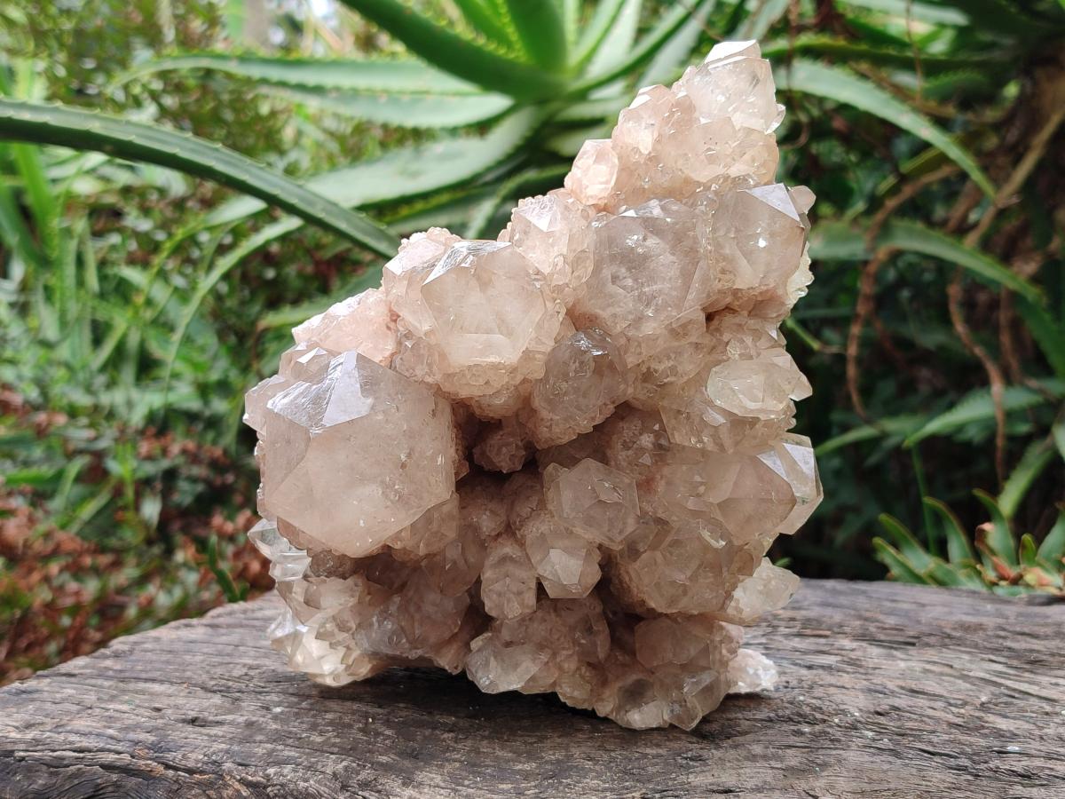 Natural Large Cascading White Phantom Clear Smokey Luena Quartz Cluster x 1 From Luena, Congo - Toprock Gemstones and Minerals 